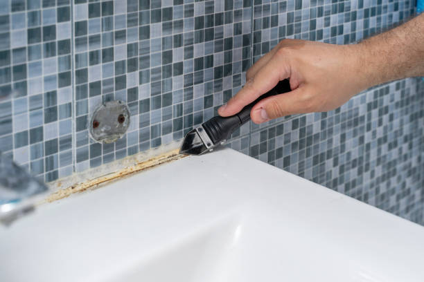 Best White Mold Remediation in Rendon, TX