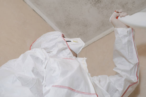 Best Mold Remediation for Specific Building Types in Rendon, TX